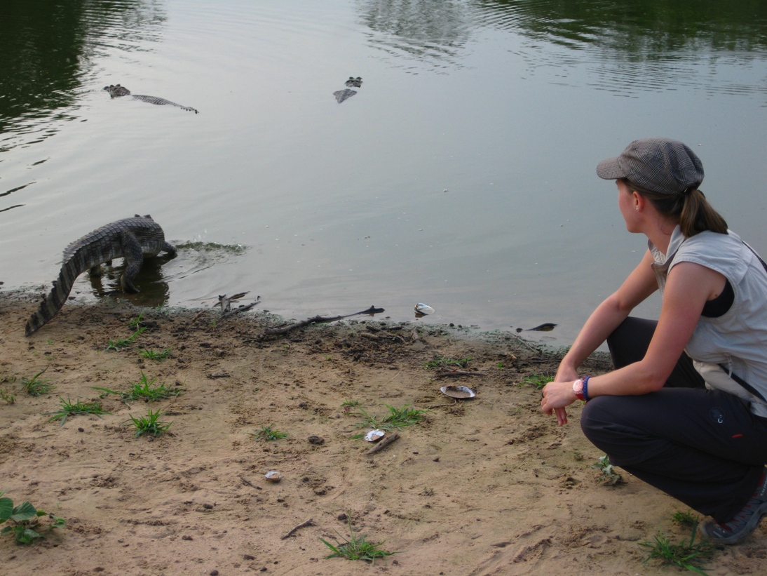 Pant_Alligator